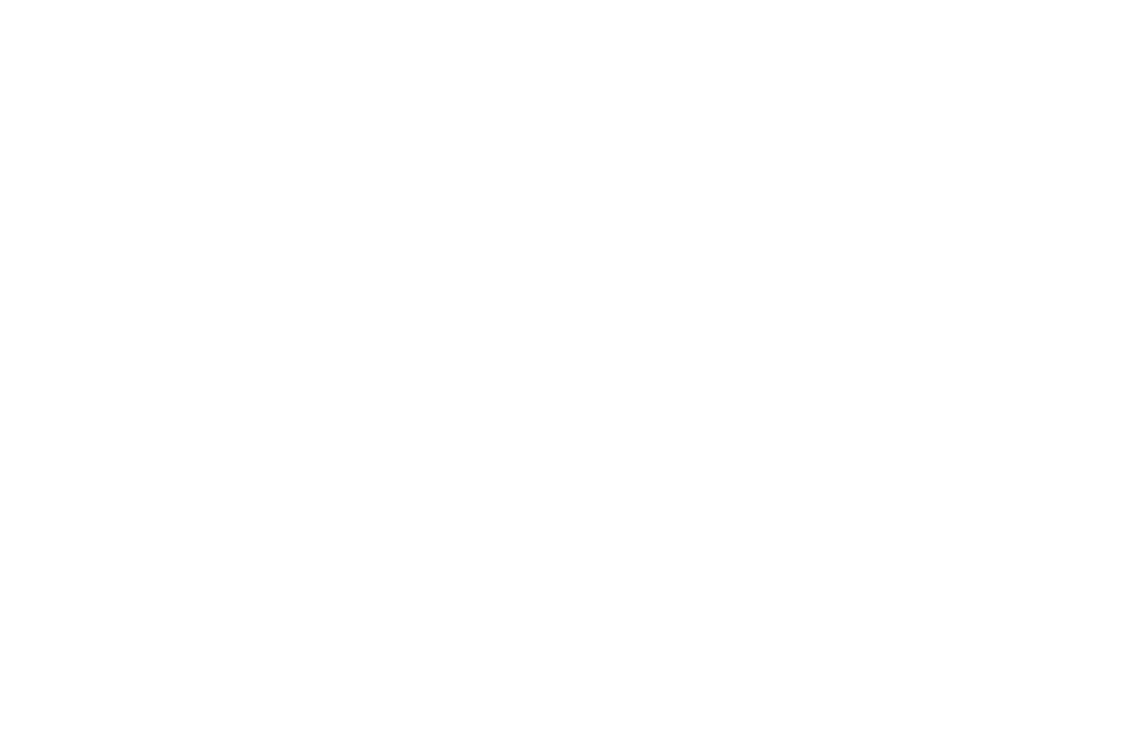 falcon-forces-logo